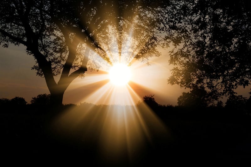 Mystical Sunbeam